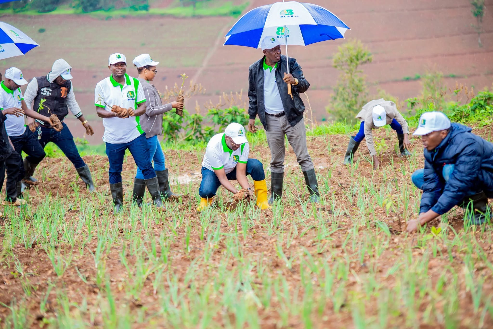 BCAB S.A.: Advancing Climate Action Through Sustainable Finance 